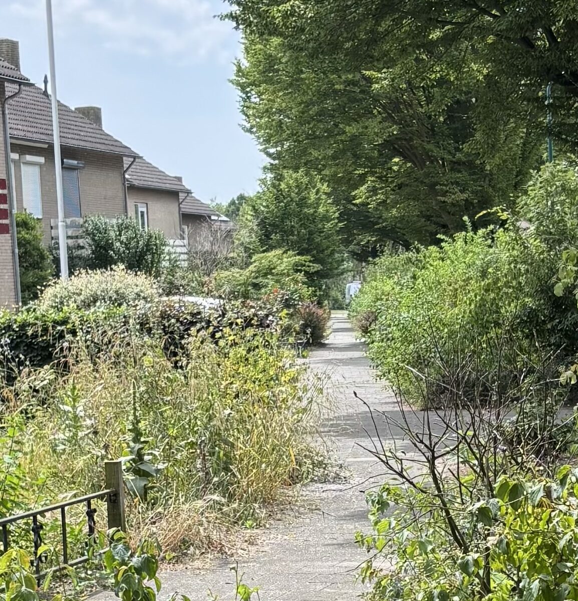 Dorpsraad Lieshout wil graag -middels een inventarisatie- een betere focus krijgen op de te verbeteren voetpaden.